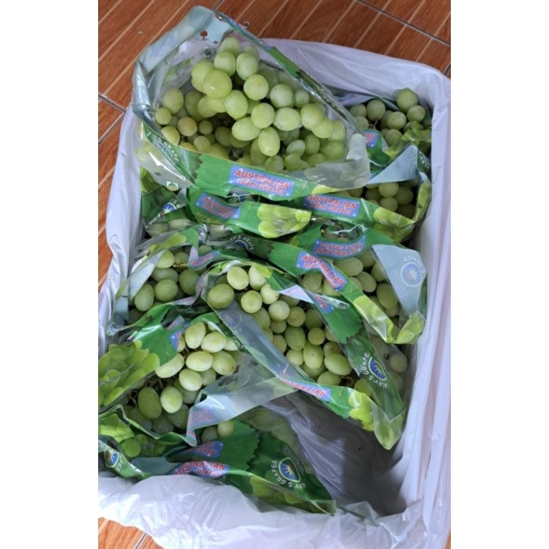 ANGGUR HIJAU IMPORT AUSTRALIAN TABLE GRAPES ALBY'S GRAPES TANPA BIJI 1BOX ±9KG
