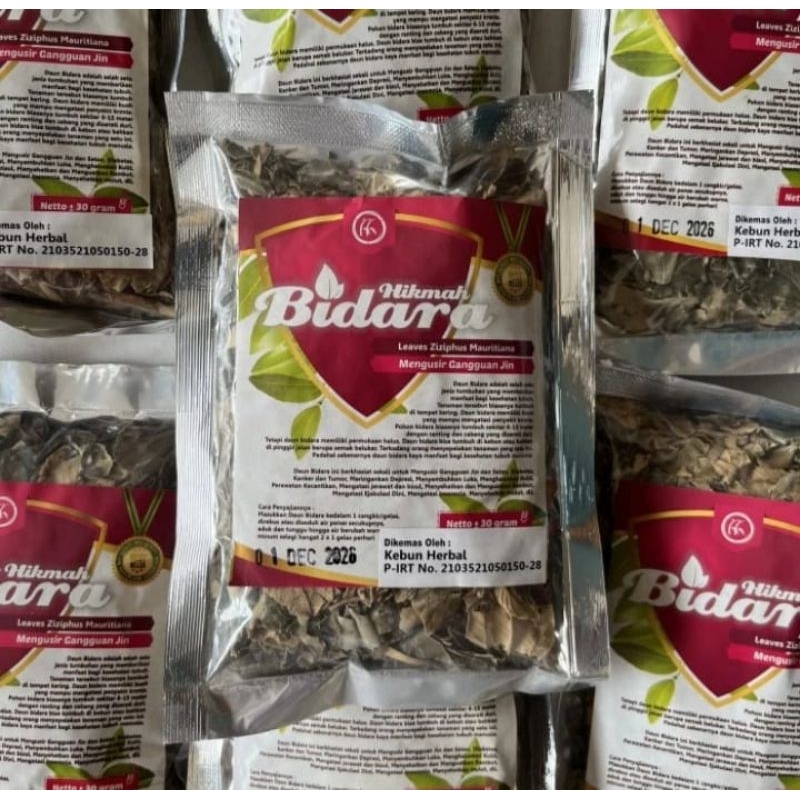 

Daun Bidara kering untuk ruqyah