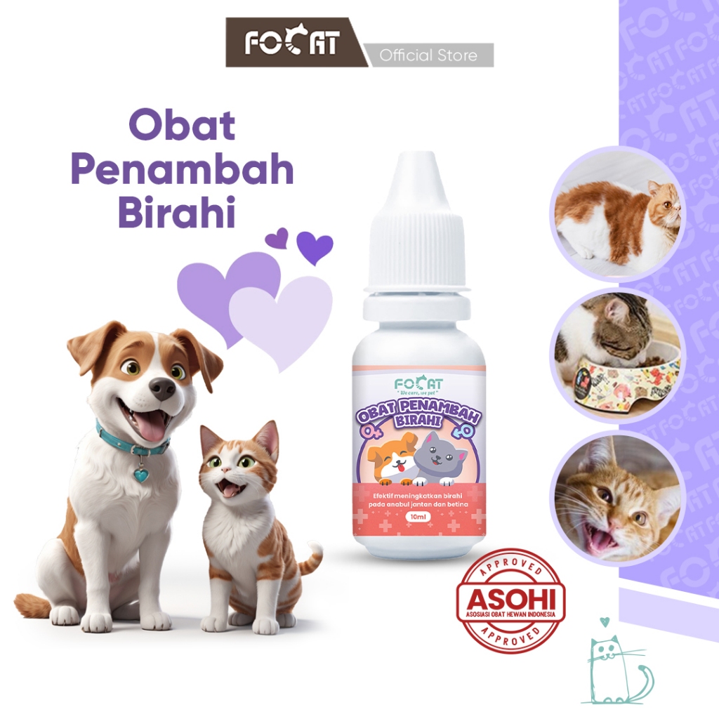 [ASOHI CERTIFIED] FOCAT Obat Penambah Birahi Kucing Anjing 10ML N29 Obat Tetes Penambah Stamina & Ke