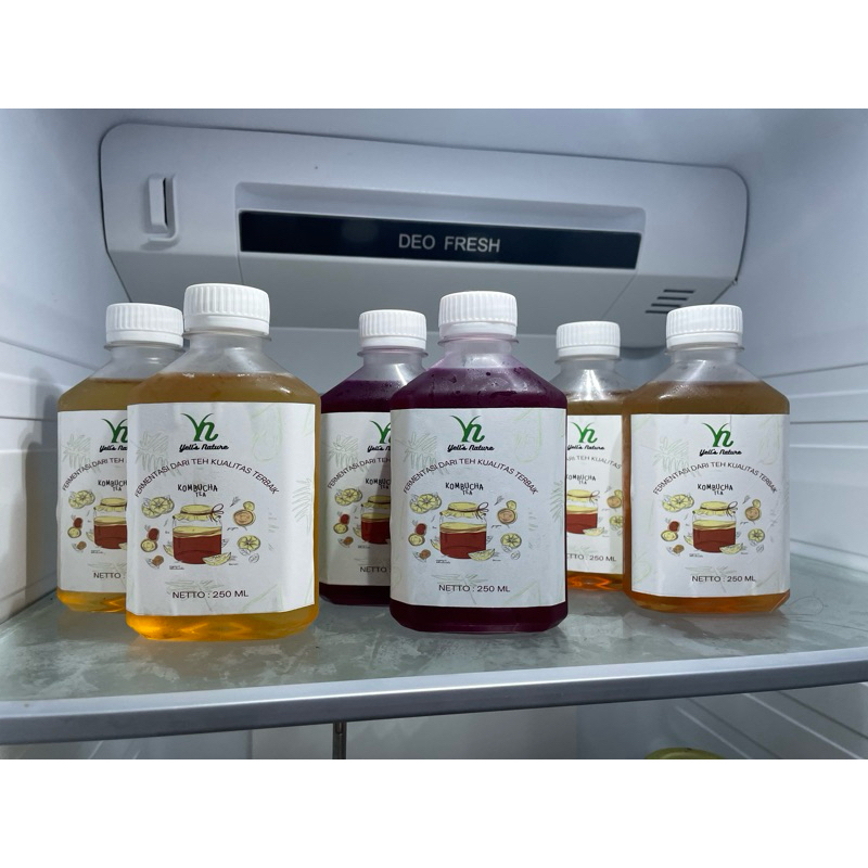 

kombucha tea 250ml all varian