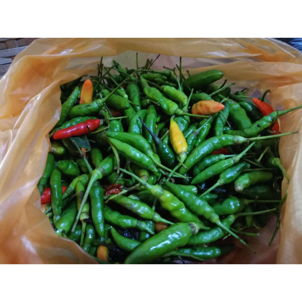 

Cabe Rawit Hijau 250gr
