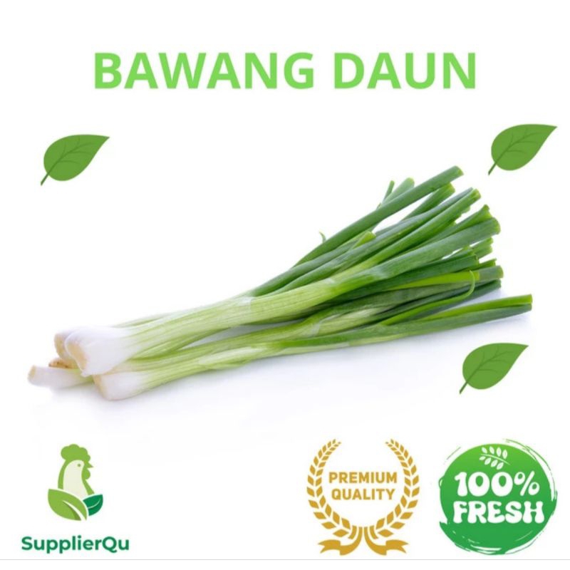 

Daun Bawang Fresh