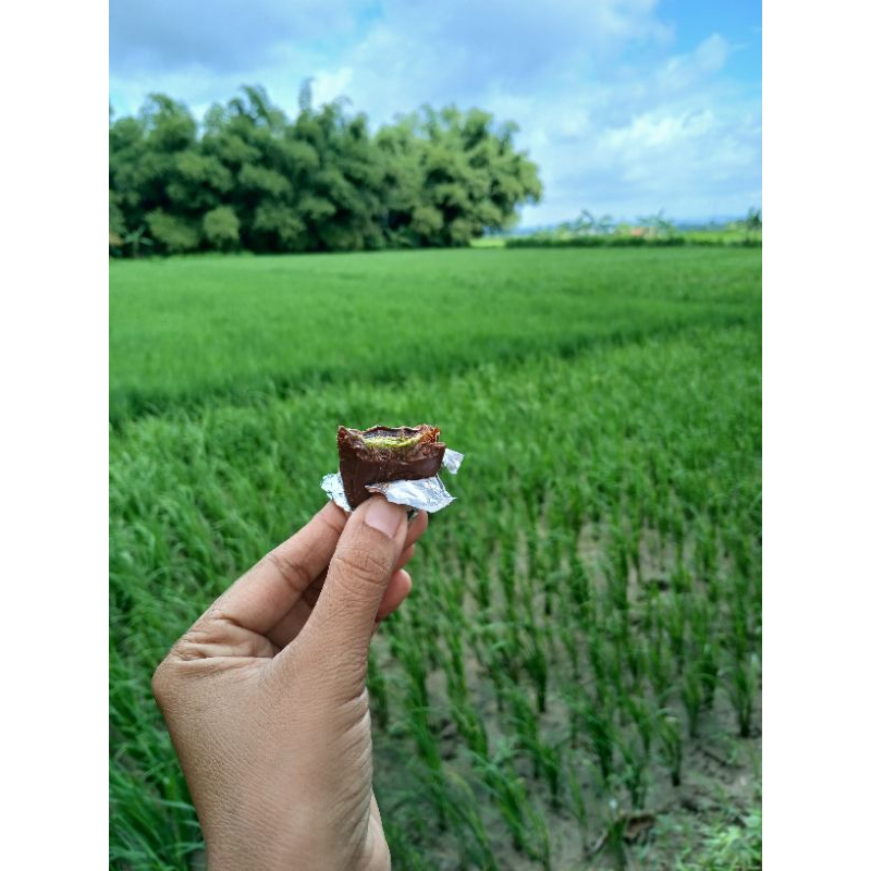 

CO KHUSUS MITRA QC