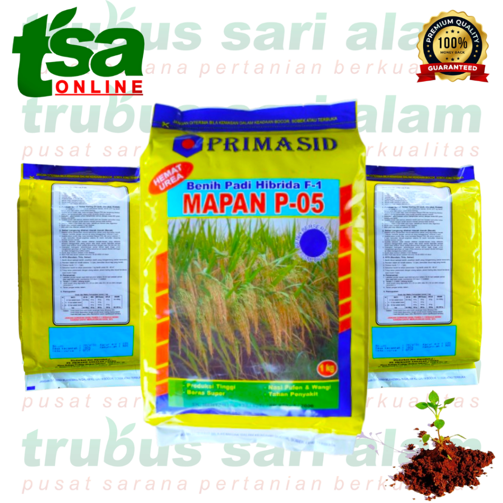 MAPAN P-05 F1 - Benih biji bibit Padi Hibrida  beras super, nasi pulen wangi , tahan penyakit