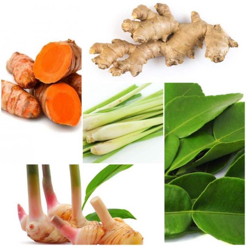 

Jahe, Kunyit, Serai, Lengkuas, Daun kunyit, Daun jeruk, Daun salam