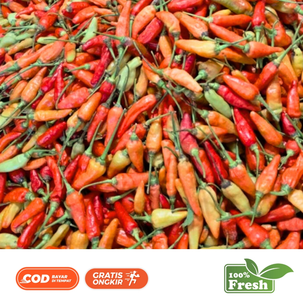 

Cabe Rawit Merah ORI Fress Berat 1 KG Termurah
