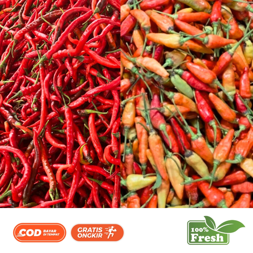 

Cabe Merah Keriting dan Cabe Rawit Merah Fress Berat 1 KG Termurah Paket Campur