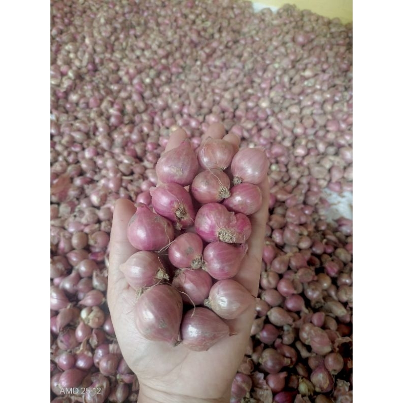 

Bawang Merah Kering Ukuran Sedang 1kg