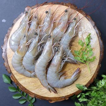 

Udang Besar 100gr Fresh Segar Premium Instan Surabaya