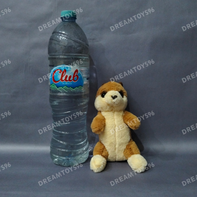 Dreamtoys96 Boneka Musang Ferret Lucu Boneka Animal Musang Mini