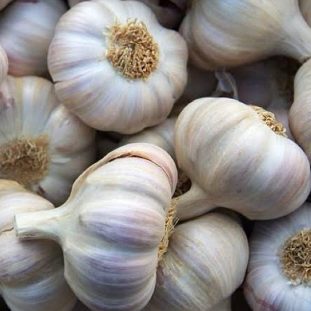 

bawang putih promo 250gr/500gr/1kg fresh