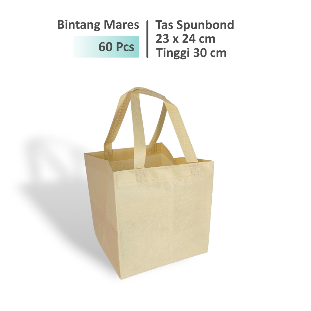 

(60 Pcs) Tas Hajatan 23x24 Tinggi 30 cm / Untuk Box Nasi uk 22x22 (R10B)