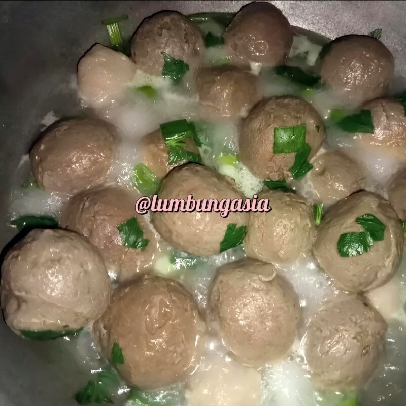 

Bakso Ikan Besar 10 Butir Bakso Ikan Bahari Murah Bakso Ikan Besar Tanpa Isi