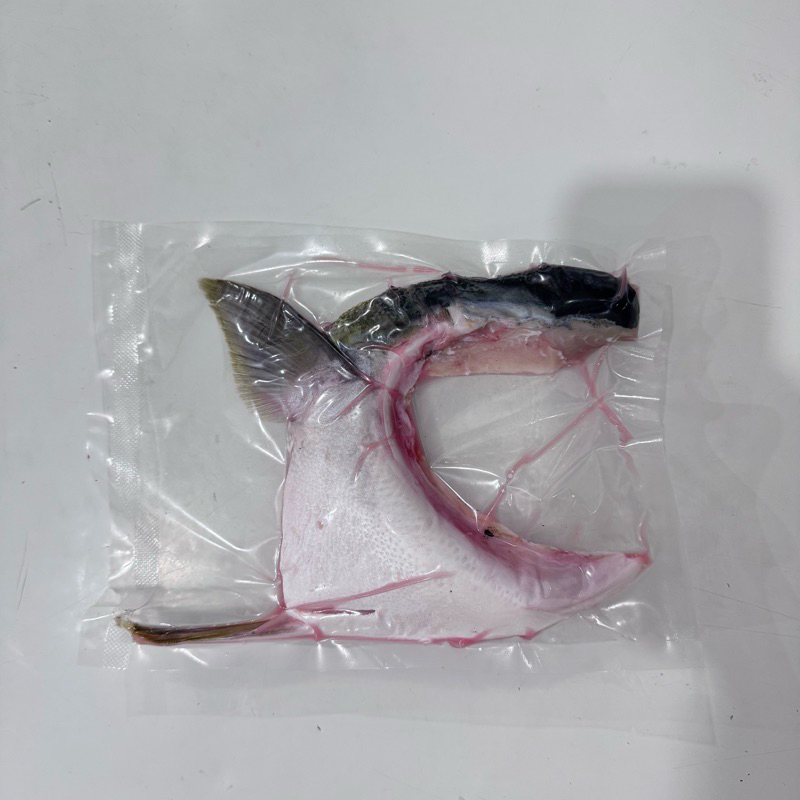 

Hamachi Kama / Yellowtail Collar / Amberjack Collar