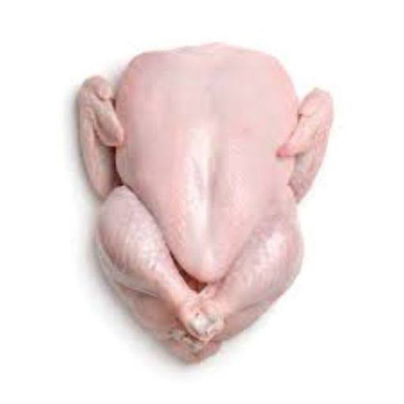 

AYAM BOILER NEGERI 0.9 - 1.0 KG