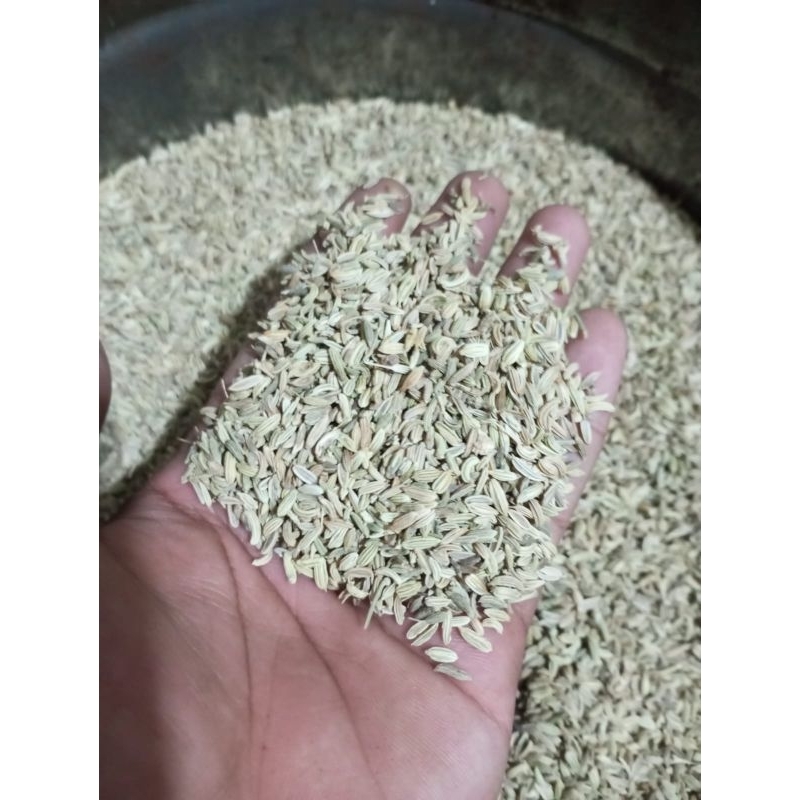 

Rempah Adas Manis 1Kg