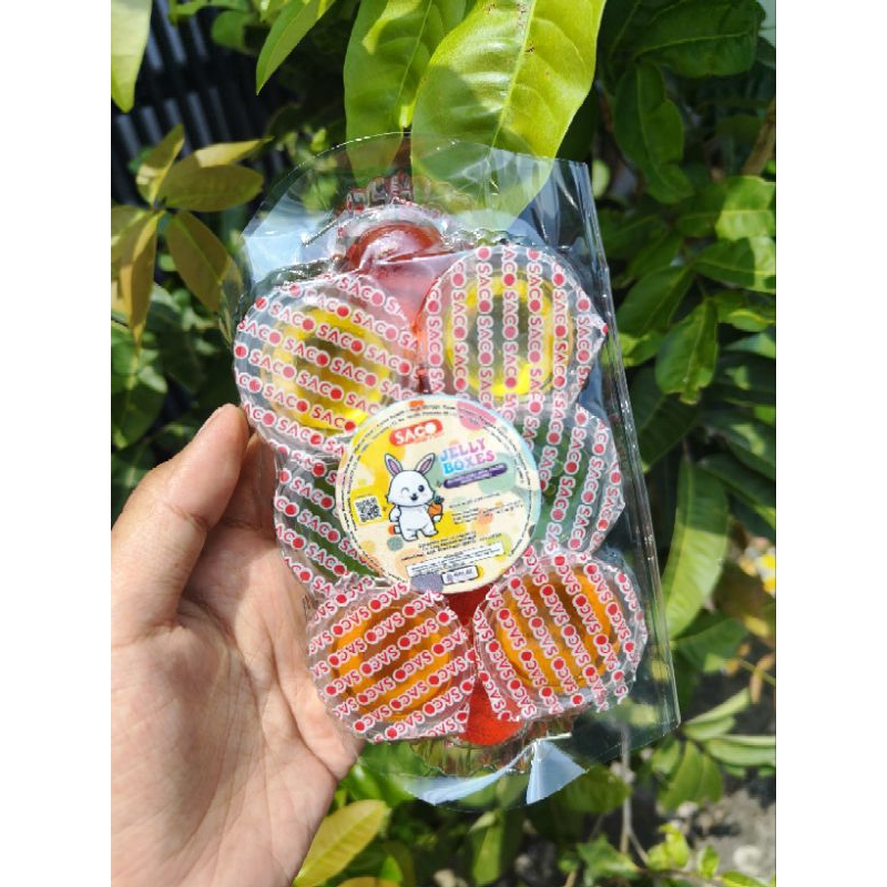 

SACO JELLY BOXES 1 PACK ISI 10 PCS