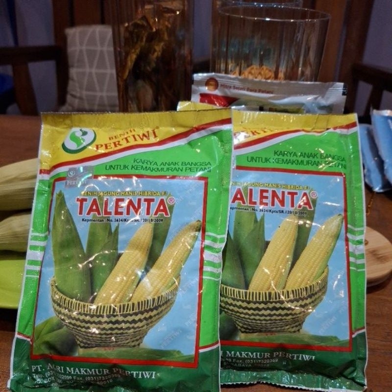 

Talenta Benih Jagung Manis Murni 99,5%