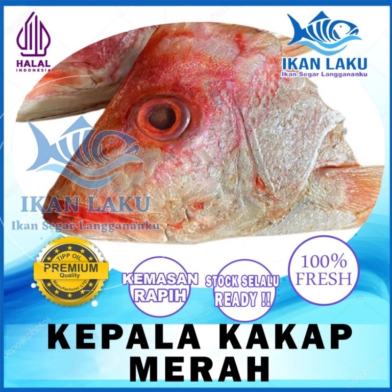 

KEPALA KAKAP MERAH ASLI PREMIUM FRESH TERMURAH BERGARANSI IKAN LAKU IKAN SEGAR IKAN BEKU