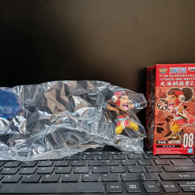 wcf usop wt100 MIB open for check