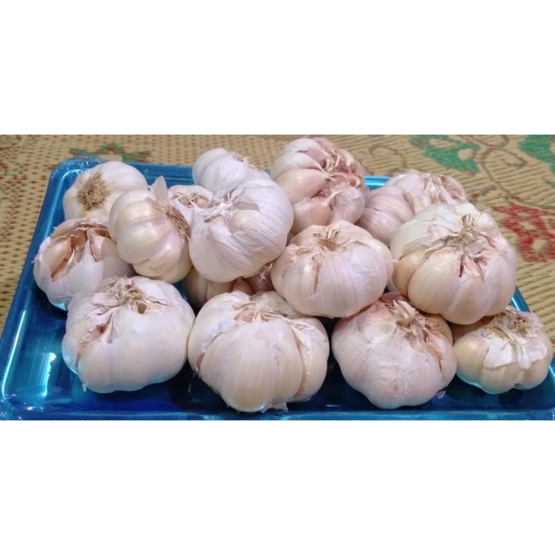 

Bawang putih Kering Bersih 500gr Segar Tidak Busuk