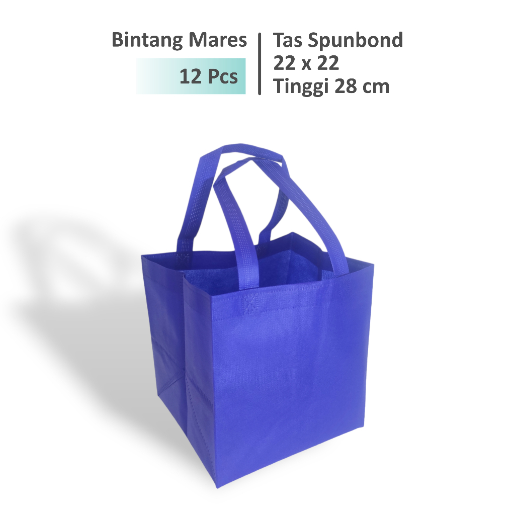 

(12 Pcs) Tas Hajatan 22x22 Tinggi 28 cm / Tas Box Nasi / Tas Spunbond