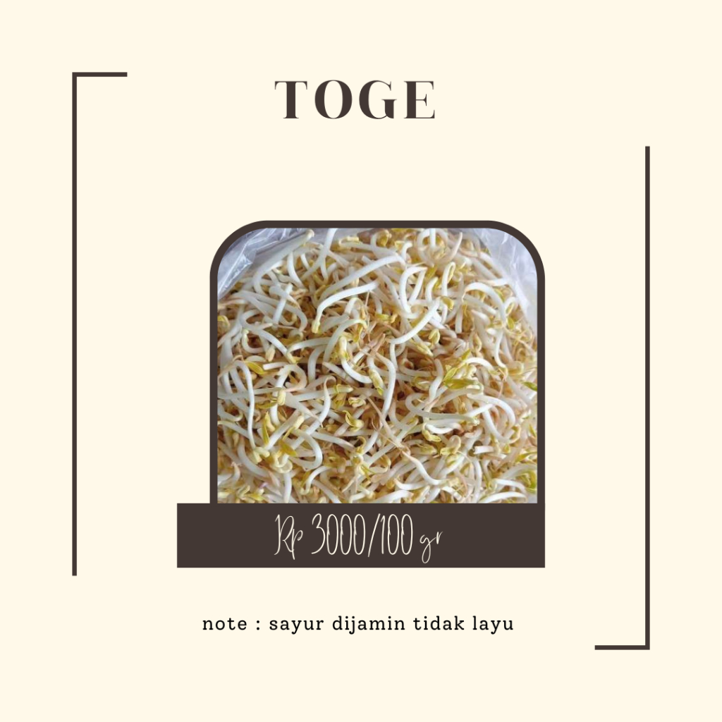 

Toge 3000
