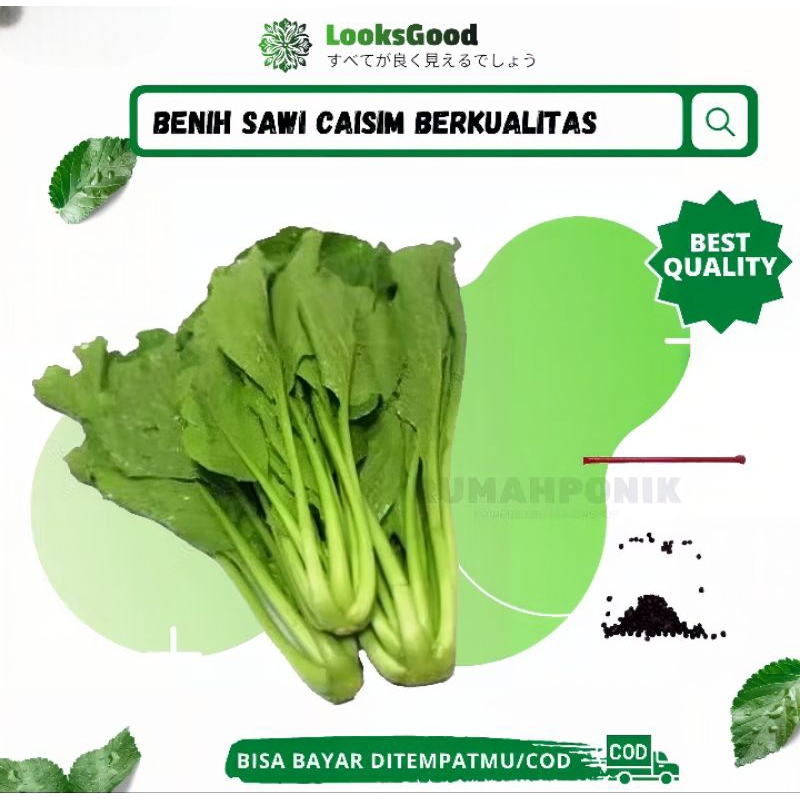 Ratusan Benih Sayuran Caisim / Benih Caisim / Bibit Caisim