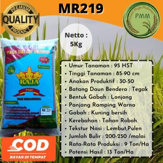 Bibit Padi Unggul MR219 Benih Padi MR 219 5kg