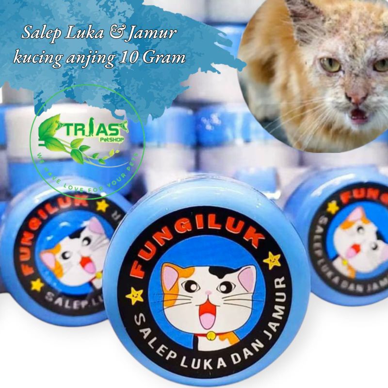 Salep Kucing Ampuh: Luka & Jamur Minggat/Obat Jamur & Luka Kucing/Salep Ajaib: Atasi Luka & Jamur Ku
