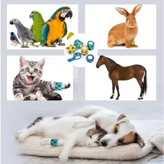 Sellyliavitaliavita Pet Elastic Bandage Perban Hewan Anti Dirty Elastis Berperekat Untuk Kucing
