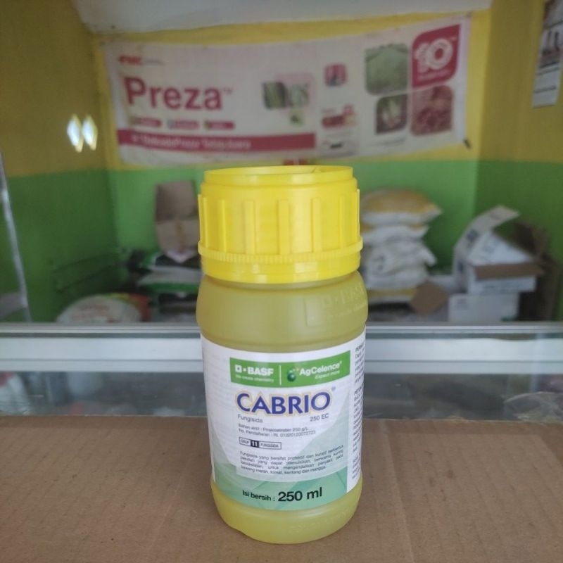 FUNGISIDA CABRIO TOP 250ML (CAIR)