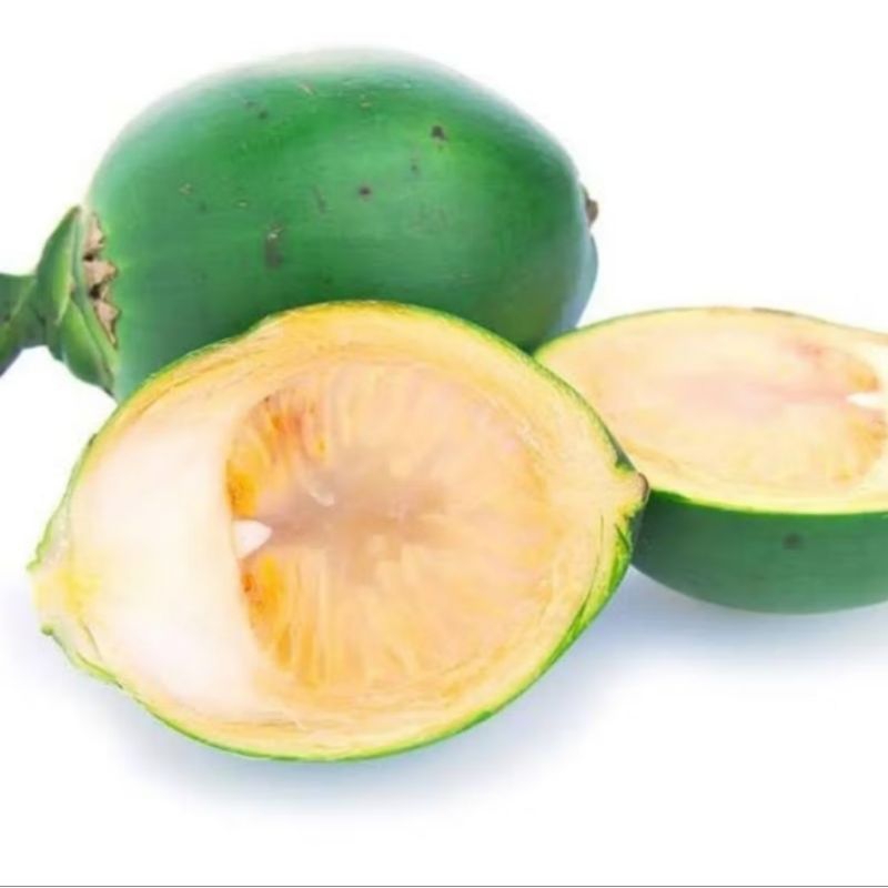 

buah pinang muda STAMINA PRIA 500gram