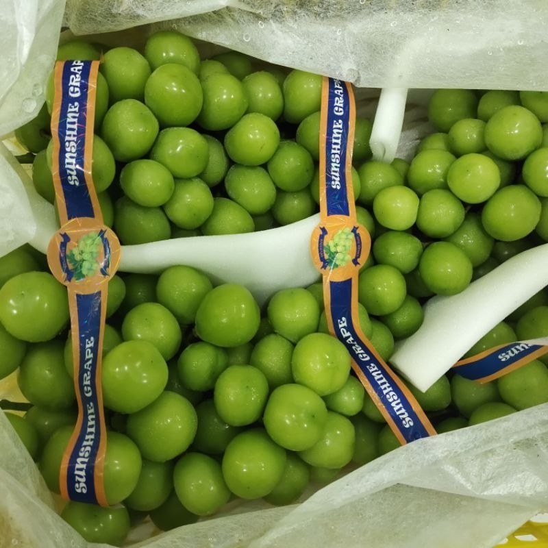 

Anggur Hijau Muscat / buah segar / parcel buah / parcel buah segar