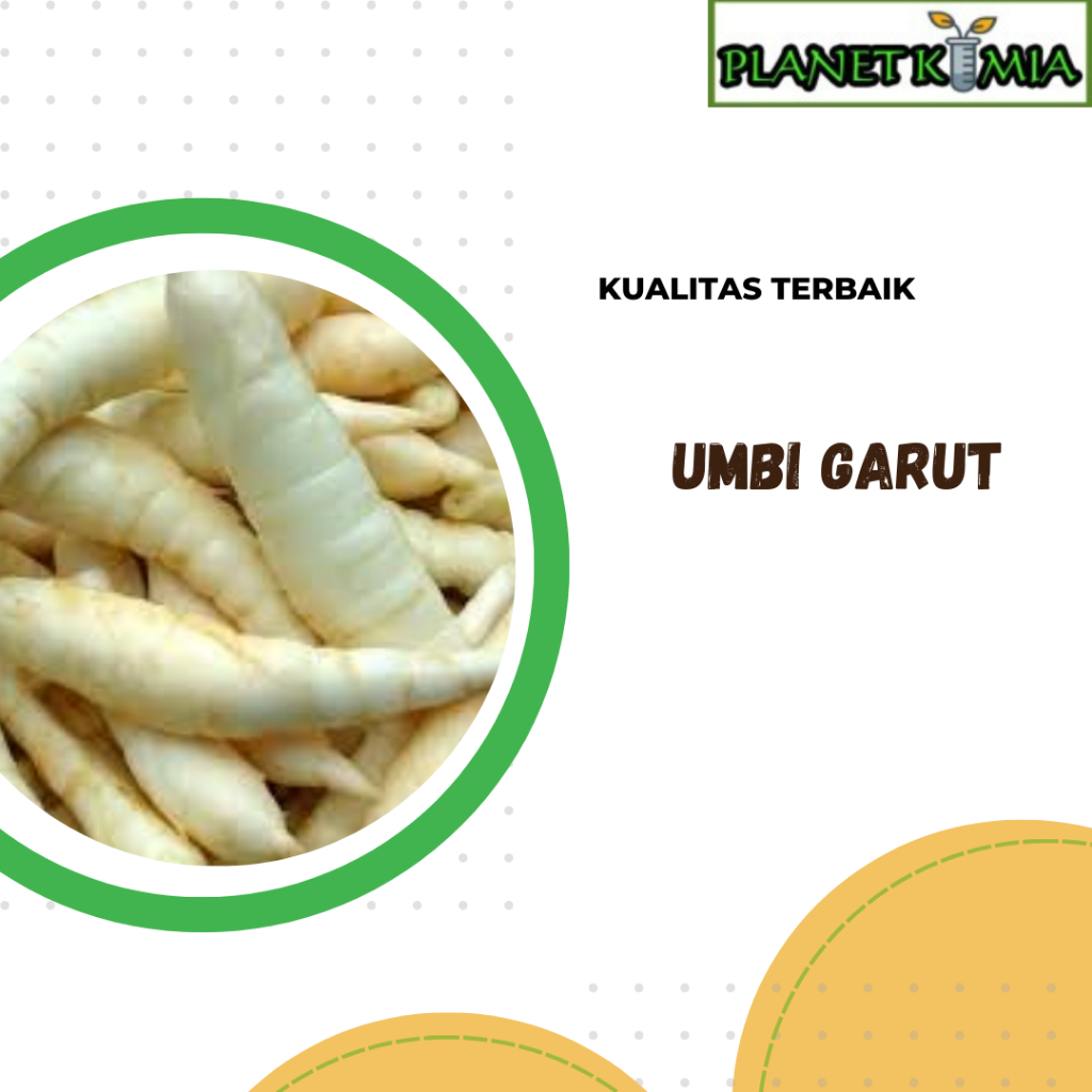 

dried,serbuk umbi garut best product