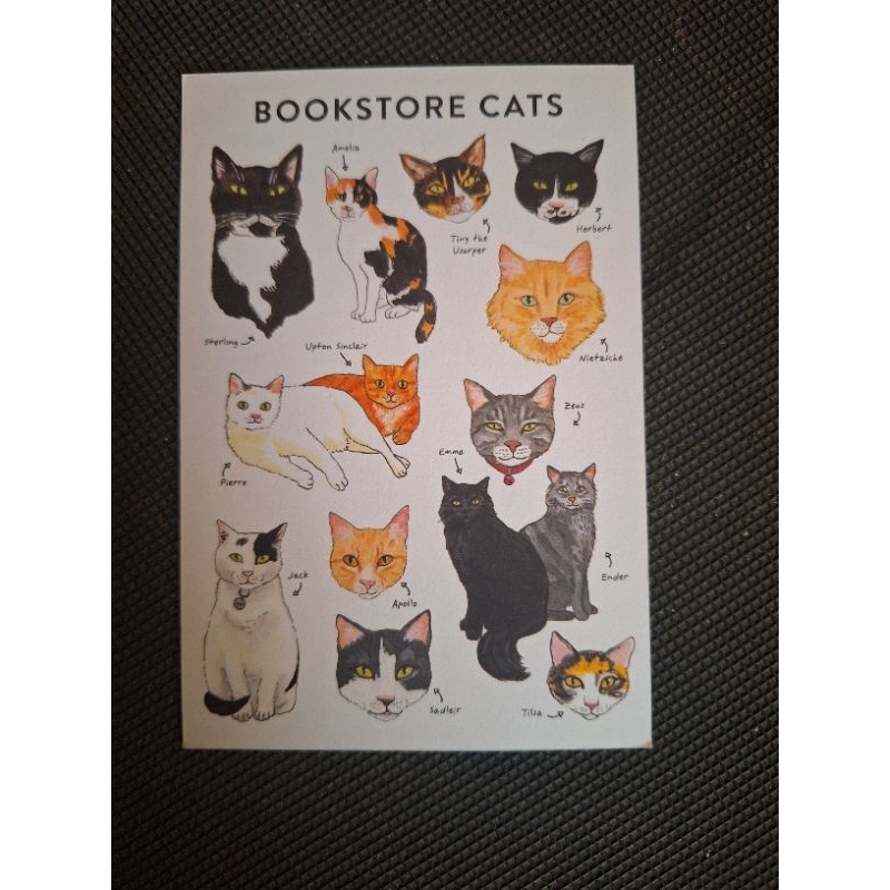 

kartu pos kartun kucing /Cat postcard