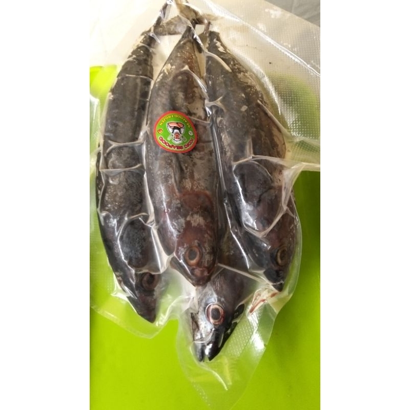 

Ikan Tongkol beku