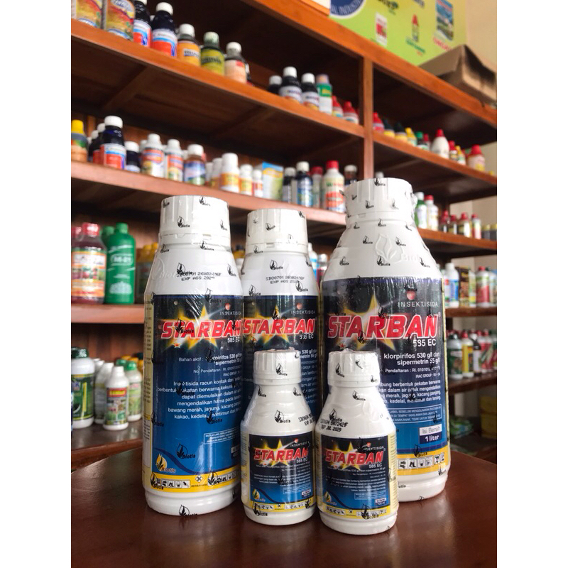 INSEKTISIDA STARBAN 585 EC | Klorpirifos : 530 g/l + Sipermetrin : 55 g/l | STARBAN BIOTIS | INSEKTI