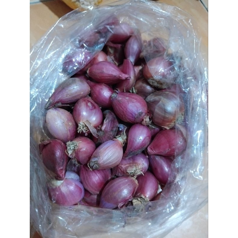 

BAWANG MERAH SEGAR 250g termurah
