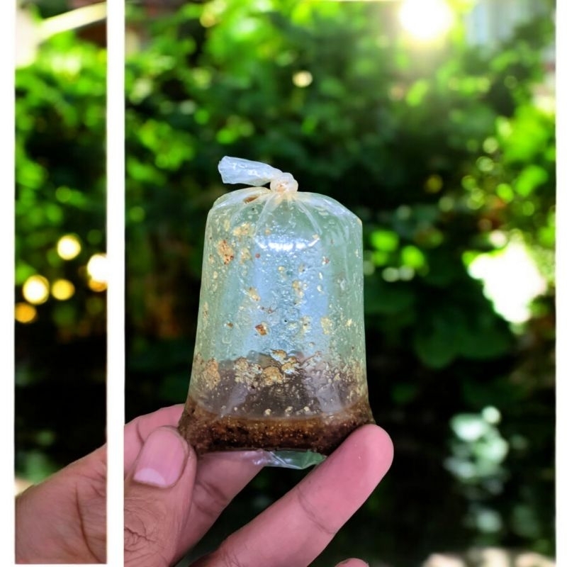 

bumbu rempah kuah baso instant, minyak bawang 30gr 1pcs