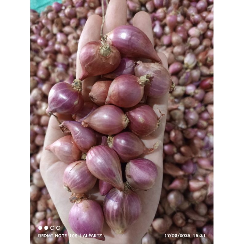

PROMOO BAWANG MERAH tanggung kecil murah 1kg