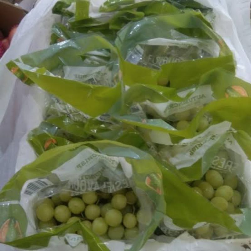 

Anggur sweet hijau 500gr