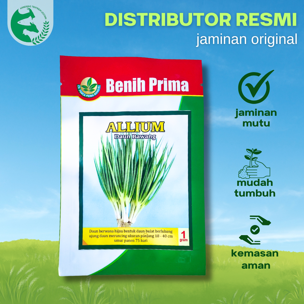 Benih Daun Bawang ALLIUM 1 gr Unggul Cap Benih Prima Lebat