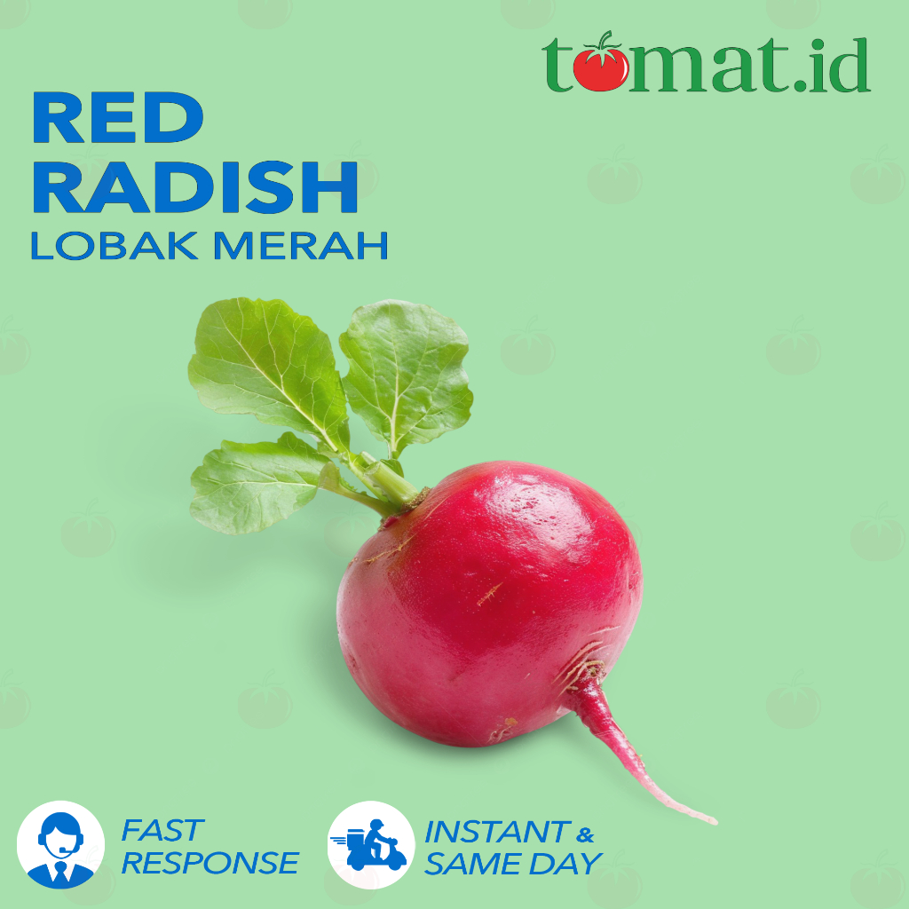 

Lobak Merah / Red Radish