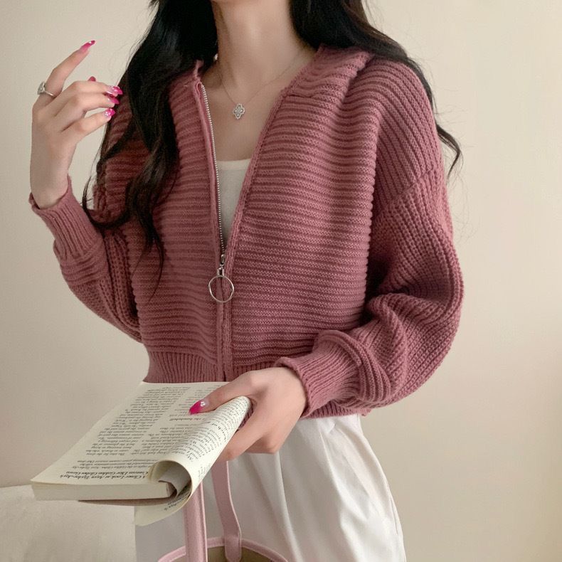 [PREMIUM] Yunhee Hoodie Sweater Cardigan Crop Knit Korean style