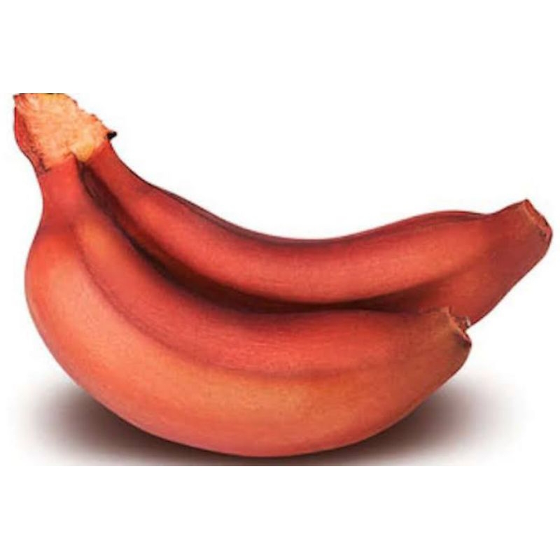 

pisang plembang / blitung merah 1 sisir