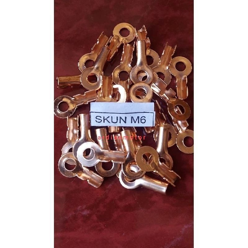skun aki tembaga  m6