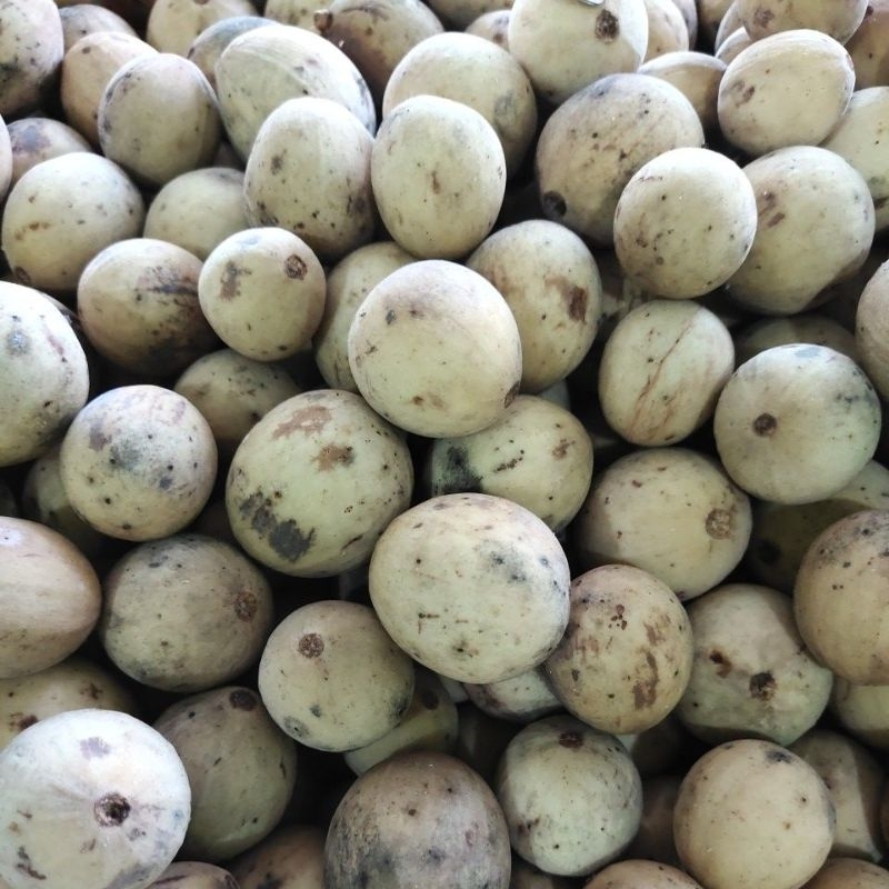 

Duku / buah segar / parcel buah / parcel buah segar