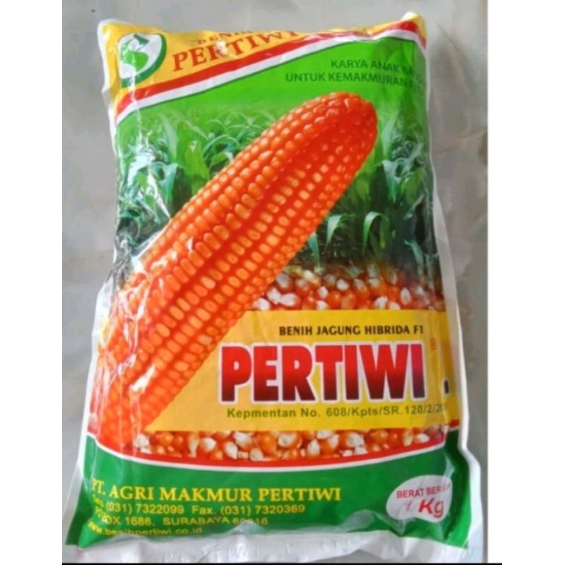 

Jagung Pertiwi 1