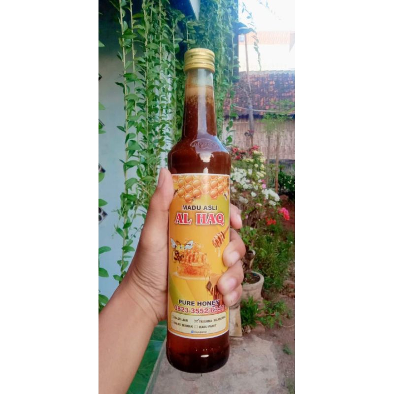 

madu klanceng/trigona